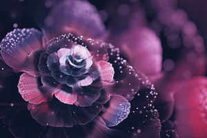 Fractal Flowers Abstract Wallpaper