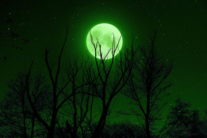Full Moon Green 5k (1400x1050) Resolution Wallpaper
