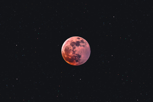 Full Moon Night 4k (2560x1024) Resolution Wallpaper