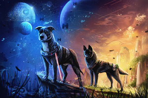 Galactic Dogs Of The Universe (1600x1200) Resolution Wallpaper