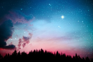 Galaxy Stars Lights Forest Night 5k Wallpaper