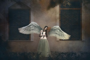 Girl Angel Wings