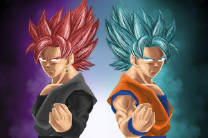 Goku And Black