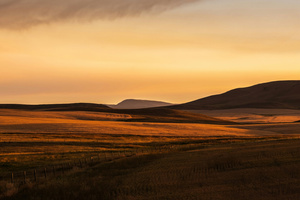 Golden Grassland Sunset Panorama (1400x900) Resolution Wallpaper