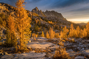 Golden Larch Forest And Prusik Peak Wallpaper