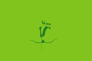 Green Arrow Minimalism HD (1440x900) Resolution Wallpaper