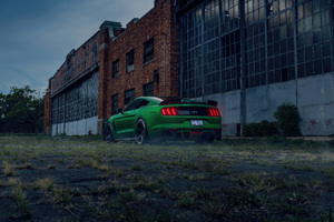 Green Ford Mustang 5k Wallpaper