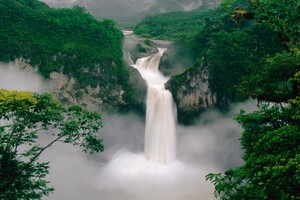 Green Forest Waterfall Wallpaper