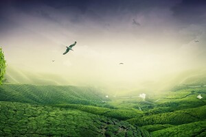 Green Landscape (1280x720) Resolution Wallpaper