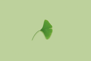 Green Leave Minimal 5k (5120x2880) Resolution Wallpaper