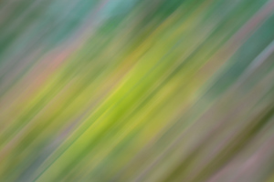 Green Motion Abstract 5k