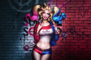 Harley Quinn Anarchy And Beauty (1366x768) Resolution Wallpaper
