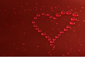 Heart Made Of Water Drops (2880x1800) Resolution Wallpaper