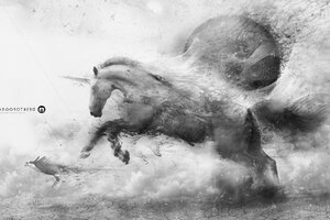 Horse Ride (1400x900) Resolution Wallpaper