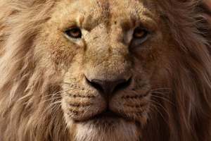 James Earl Jones As Mufasa The Lion King 2019 4k