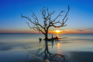 Jekyll Island Georgia Usa (3840x2160) Resolution Wallpaper