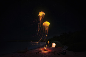 Jellyfish At Shore Dance Of The Thunder Seas (1024x768) Resolution Wallpaper