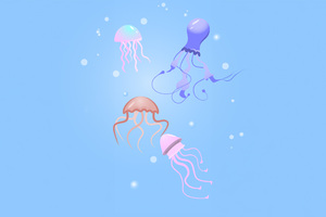 Jellyfish Minimal Wallpaper