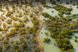 Jubail Mangrove Park Dubai (1400x1050) Resolution Wallpaper