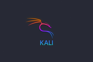 Kali Linux 5k Wallpaper