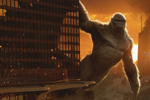 King Kong (1400x900) Resolution Wallpaper