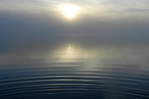 Lake Sun Morning Fog Reflection (1366x768) Resolution Wallpaper