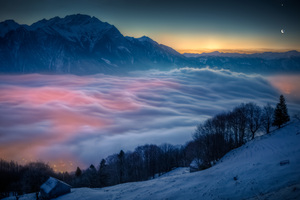 Landscape Mist Snow Mountains Trees 4k (2560x1600) Resolution Wallpaper