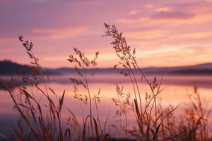 Lavender Evening Reflections Of Calm (2048x2048) Resolution Wallpaper