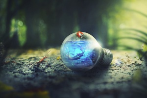 Light Bulb Nature Forest Ants Photoshop (1600x900) Resolution Wallpaper