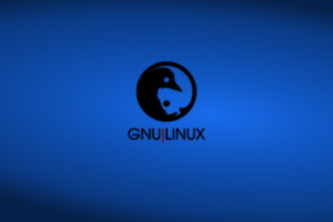 Linux GNU Wallpaper