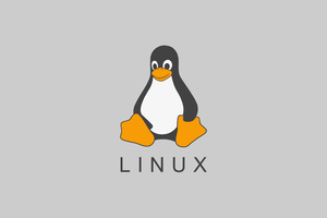 Linux Tux Minimalism 4k