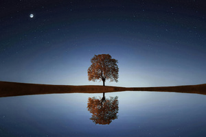 Lone Tree Mirrored On A Perfectly Still Lake Under Stars (1400x900) Resolution Wallpaper