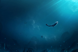Lonely Whale (1366x768) Resolution Wallpaper
