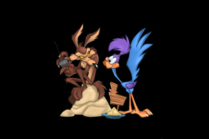 Looney Tunes Wile E Coyote And The Road Runner (1024x768) Resolution Wallpaper