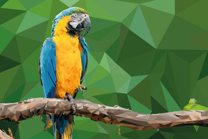 Macaw Low Poly Digital Art