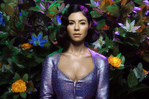 Marina And The Diamonds (2560x1600) Resolution Wallpaper