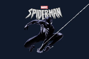 Marvel Black Spiderman 4k