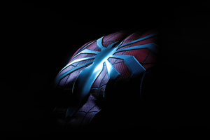 Marvel Spider Man Chest Logo (1360x768) Resolution Wallpaper