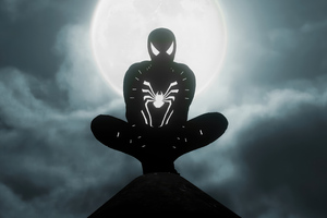 Marvels Spider Man Remastered Night Interval