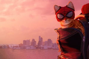 Marvels Spiderman Miles Morales 2021 Cat Wallpaper