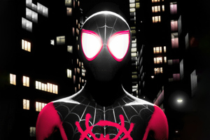 Marvels Spiderman Miles Morales Night Interval 5k
