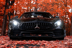 Mercedes Benz Amg Gtr Dynamic (3840x2400) Resolution Wallpaper