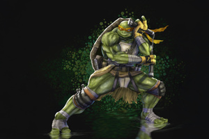 Michelangelo Tmnt (1024x768) Resolution Wallpaper