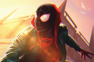Miles Morales Spider Man Verse (320x240) Resolution Wallpaper