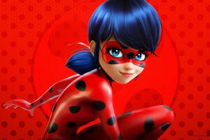 Miraculous Tales Of Ladybug And Cat Noir (1600x1200) Resolution Wallpaper