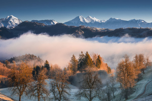 Misty Mountain Peaks And Frosty Trees (3840x2160) Resolution Wallpaper