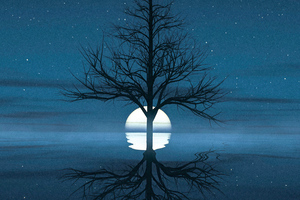 Moon Set Behind Tree Wallpaper