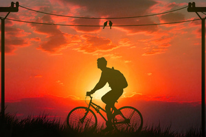 Morning Bicycle Ride 4k Wallpaper