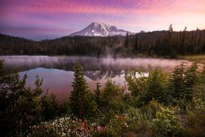 Morning Light At Mount Rainier National Park Wallpaper