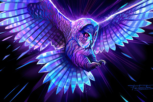 Multicolor Owl 5k (2560x1024) Resolution Wallpaper